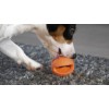 Dog Comets Polaris Grøn Lyserød Dog Comets Polaris Grøn Lyserød