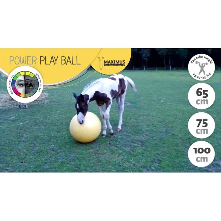 Power Play-bold 75 cm Maximus