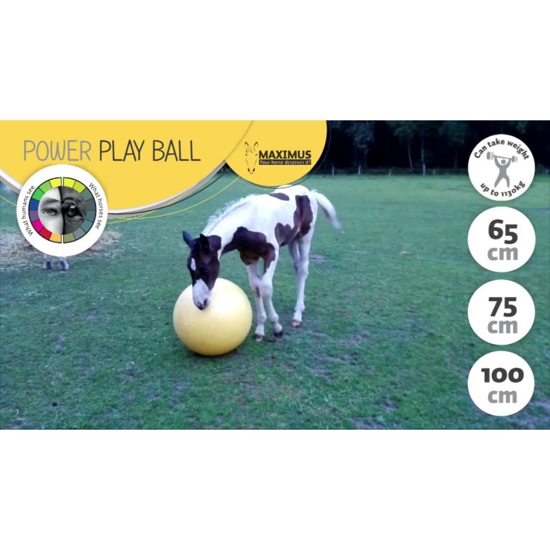 Maximus Power Play-bold 100 cm Maximus Power Play-bold 100 cm
